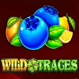 Play Wild Traces slot by Amusnet Interactive on shufflekaszino.org